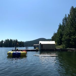 Meet your Posher, Jayne